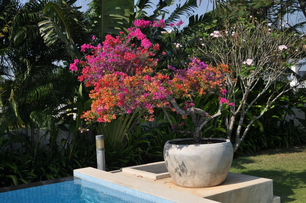 Balinese Villa With Private Pool هوا هين المظهر الخارجي الصورة